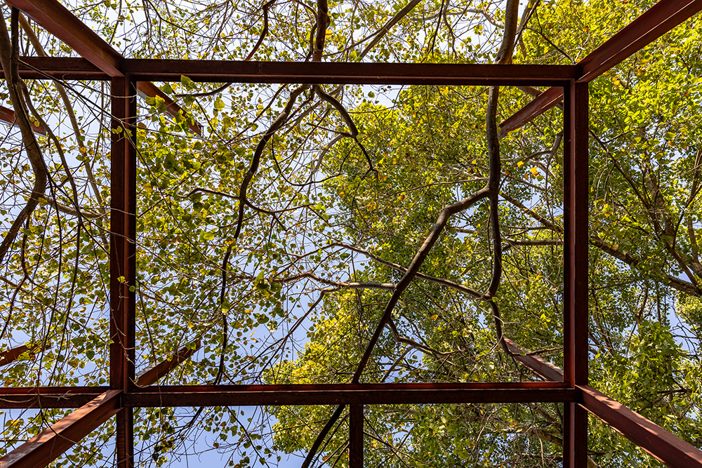 Cadre de Nature