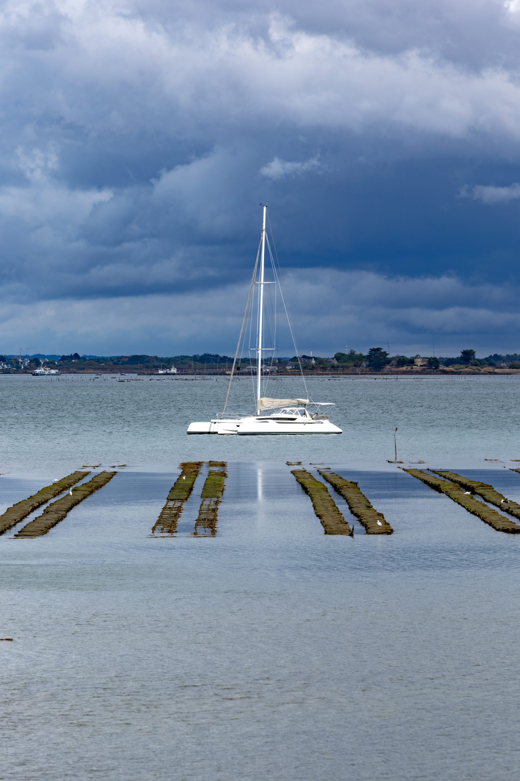 catamaran à l'Ile aux Moines