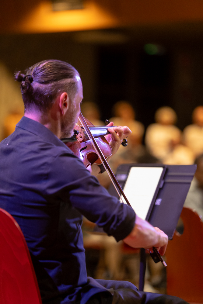 Ondes Plurielles musicien