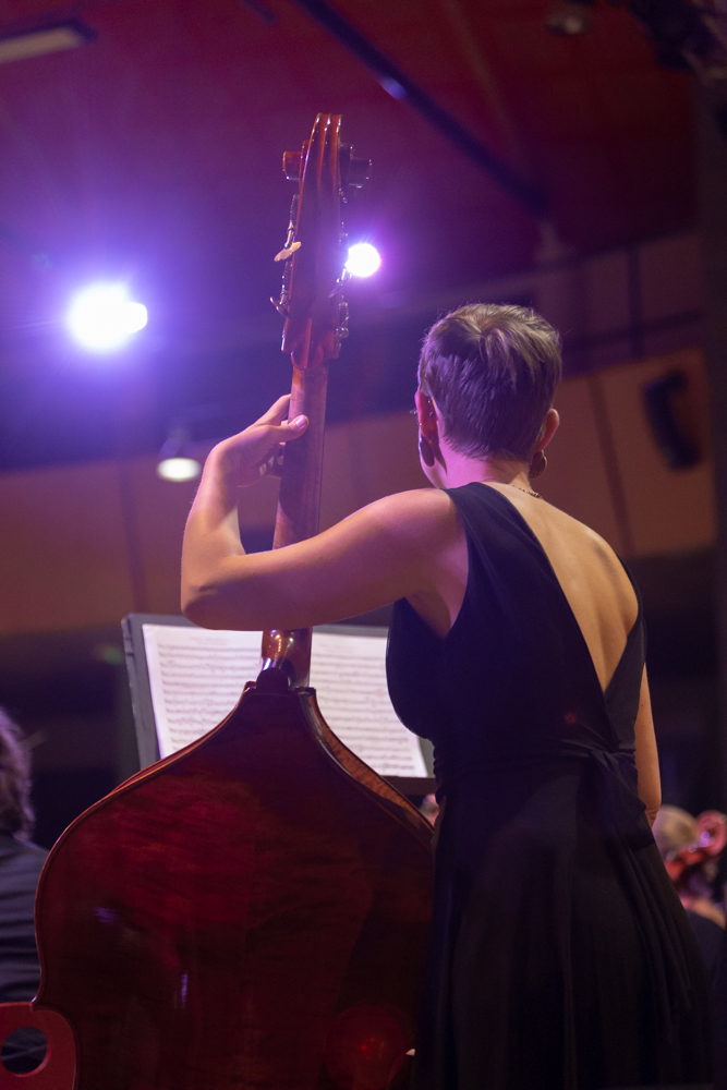 Ondes Plurielles contrebasse