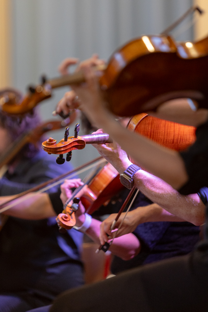 Ondes Plurielles violon